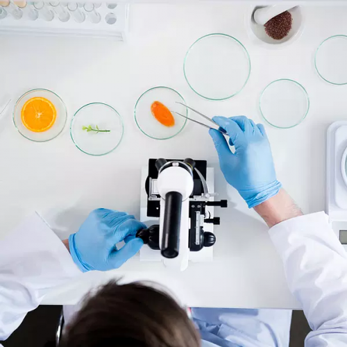 ROSHEN і USF підписали меморандум про співпрацю